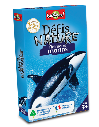 DEFIS NATURE - ANIMAUX MARINS St Barthelemy